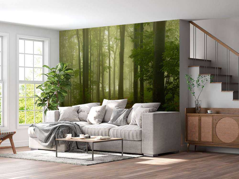 Pad door mistig groen bos