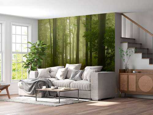 Pad door mistig groen bos