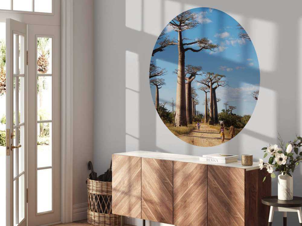 Baobab bomen
