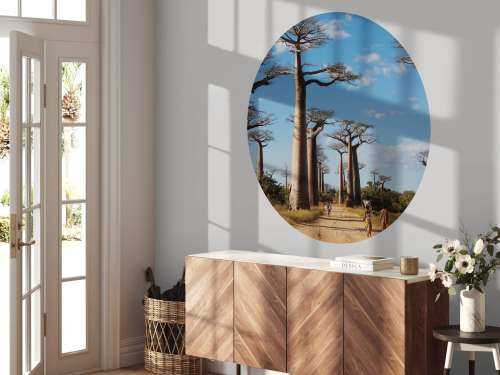 Baobab bomen
