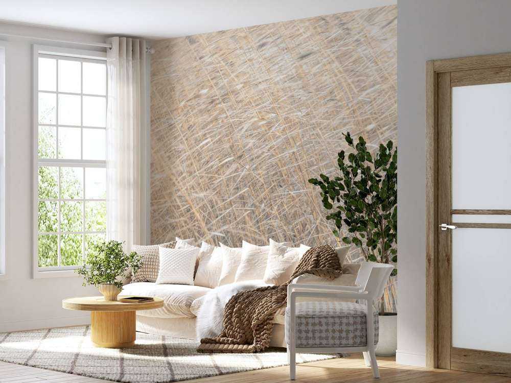 Brown reeds growing in water