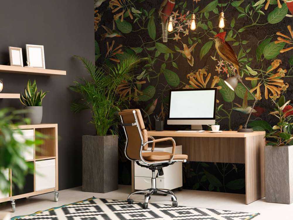 Midnight Garden Melody