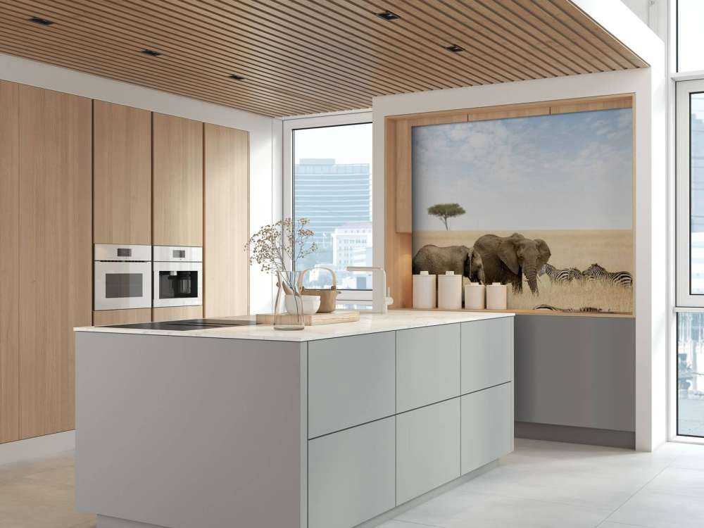 Olifanten en zebra's