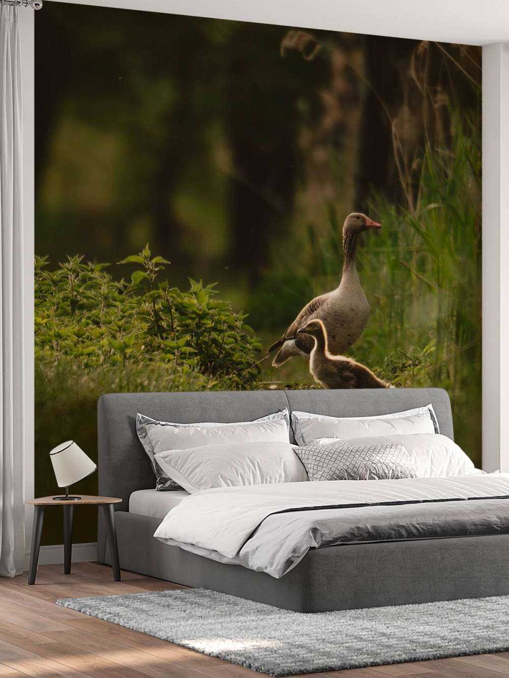 Ganzenfamilie in het Bos