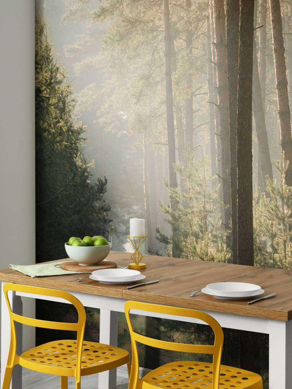 Lichtspel in het Dennenbos