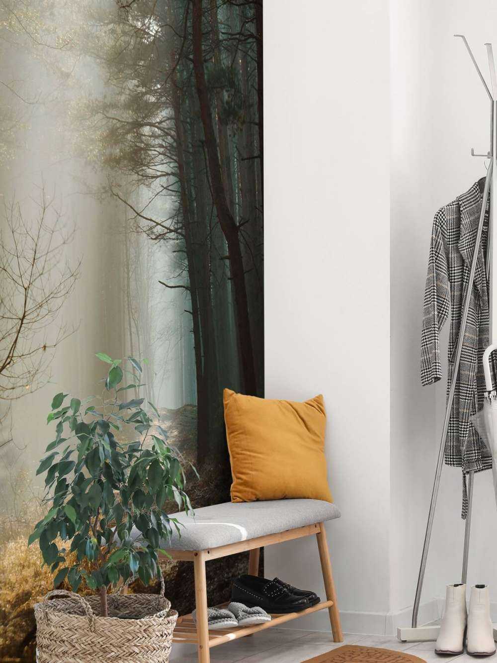 Zonnestralen in een Herfstig Bos