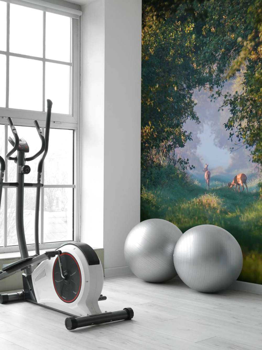 Bosdieren in het Morgenlicht