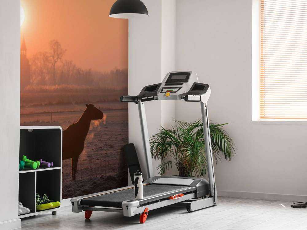 Paard in de Ochtendgloed