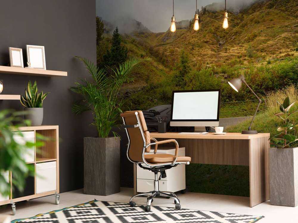 Sportwagen door bergmist