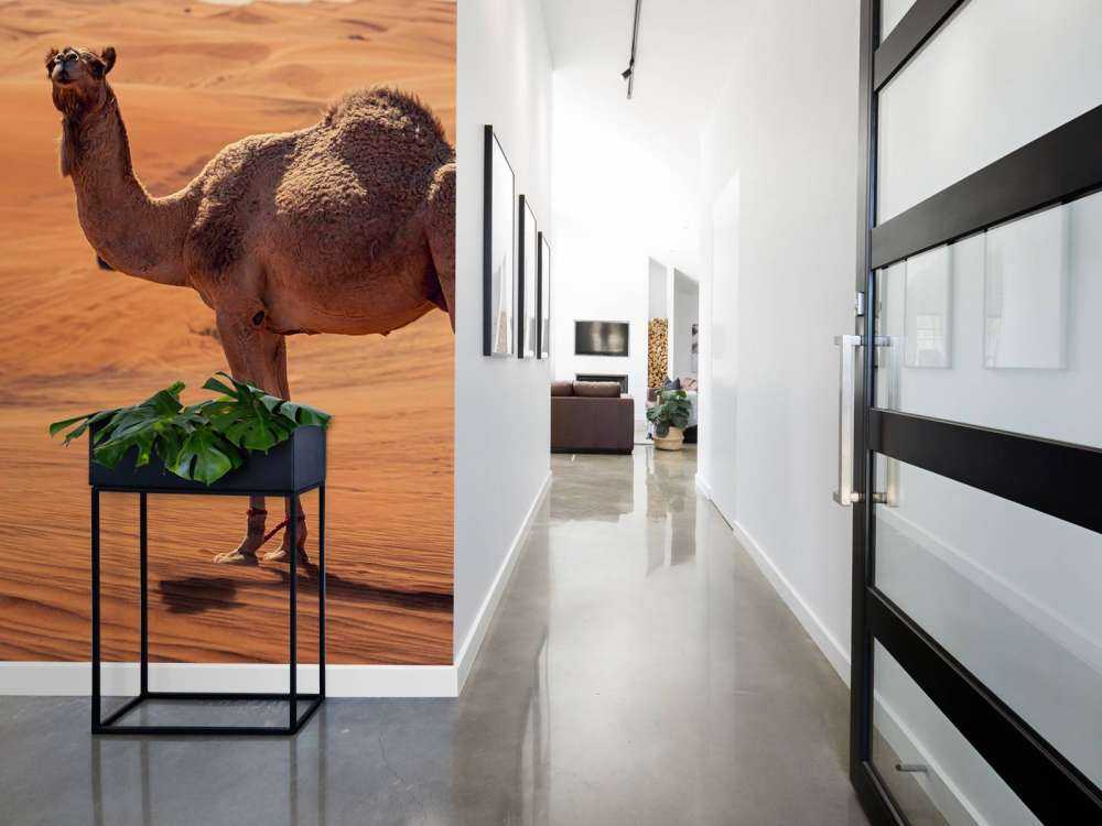 Offroad avontuur in de woestijn