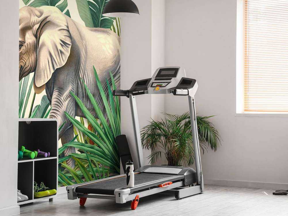 Elephants Tropical Jungle Adventure