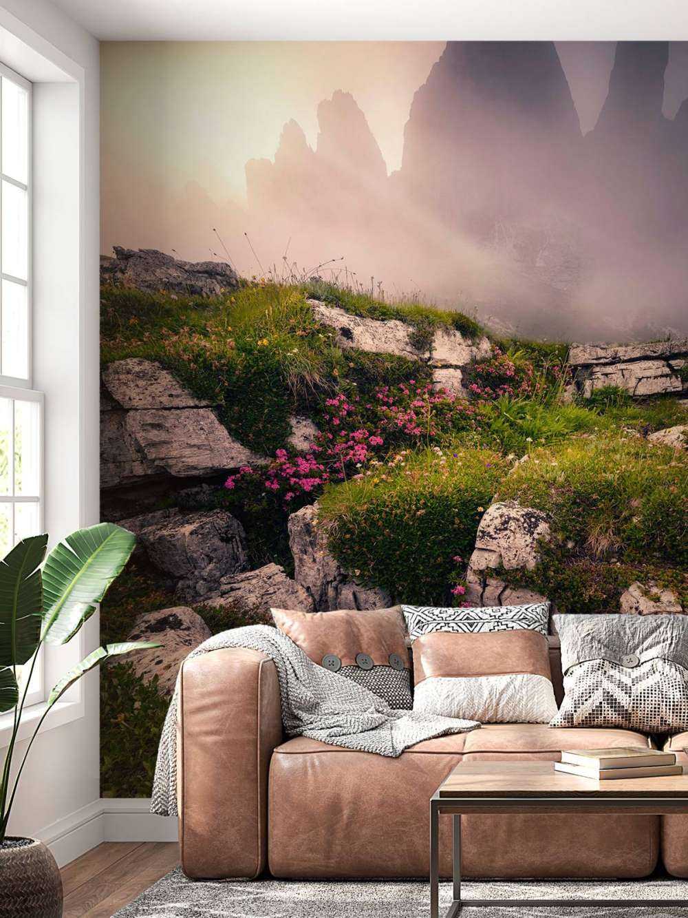 Nevelige Bergtoppen en Alpenbloemen