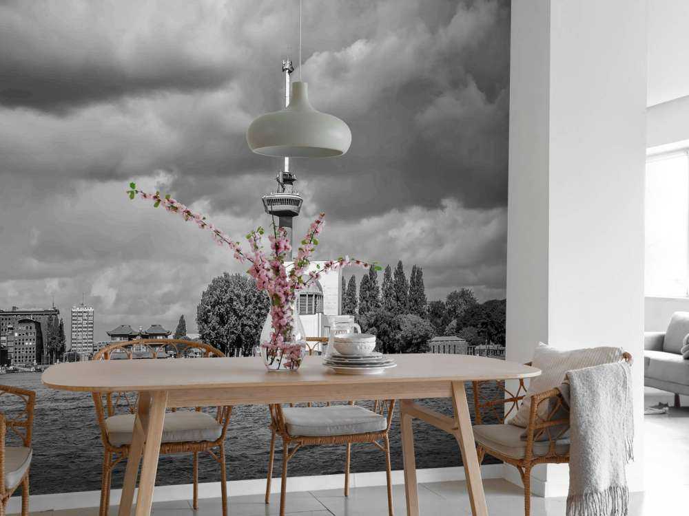 Euromast en Maas in Monochroom