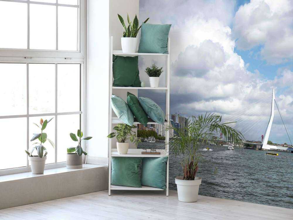 Stadszicht met Erasmusbrug