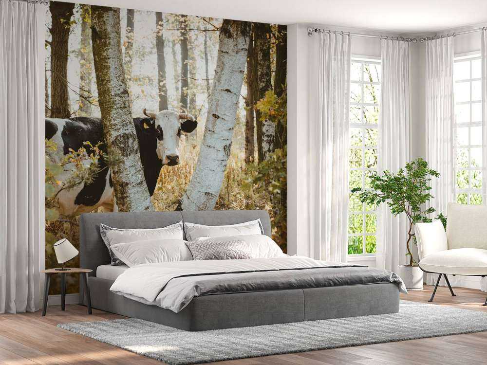 Nieuwsgierige Koe in het Woud