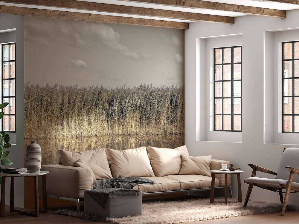 Tall reeds lining the banks of a calm canal