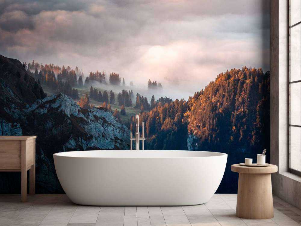 Bosrand in ochtendnevel