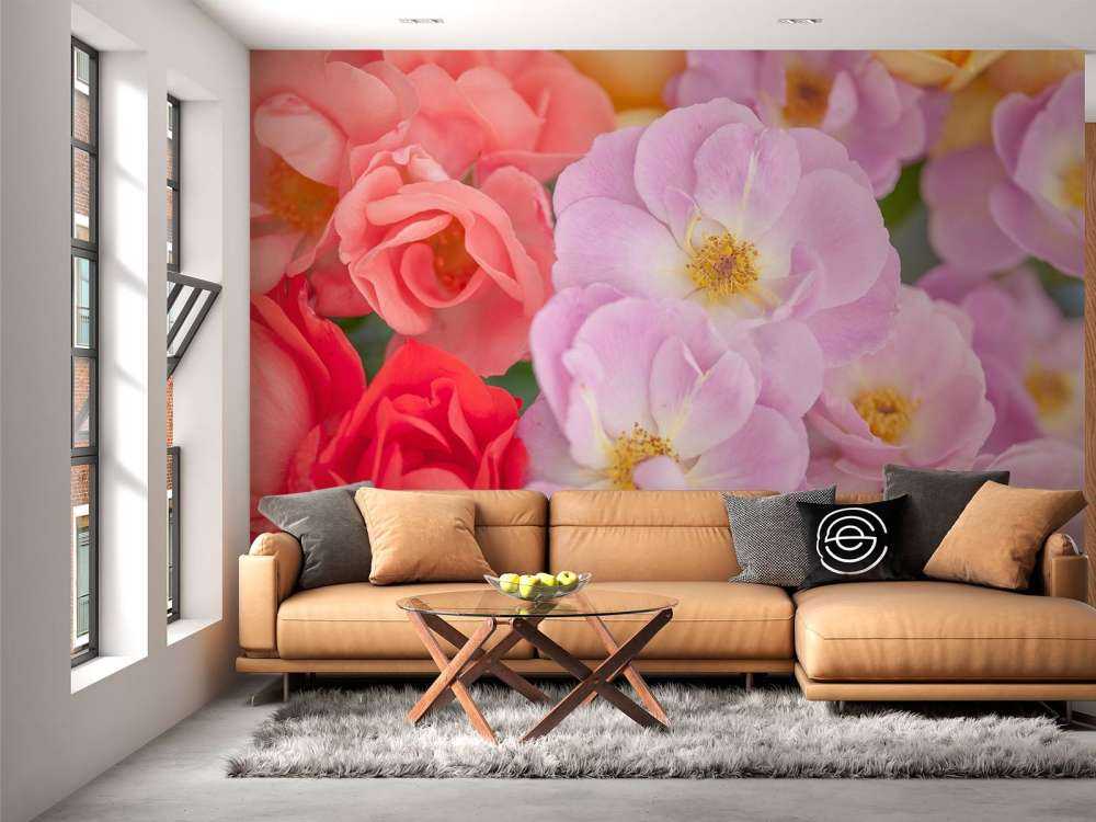 Kleurrijke bloemsoorten