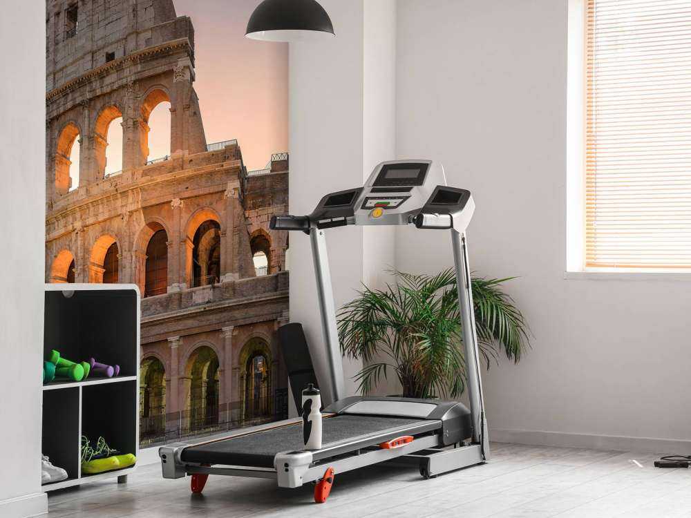 Colosseum bij zonsopgang