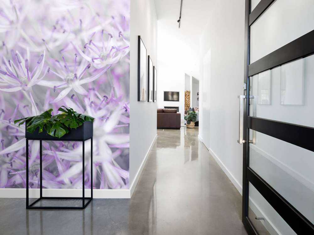 Allium bloemen close-up