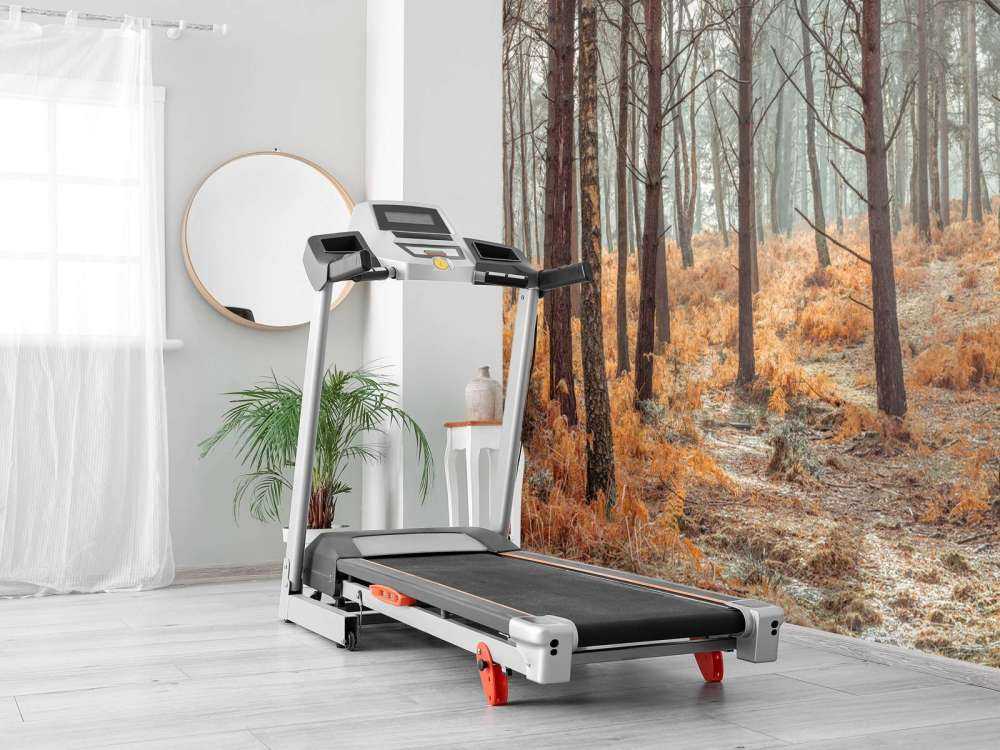 Bos tijdens de herfst