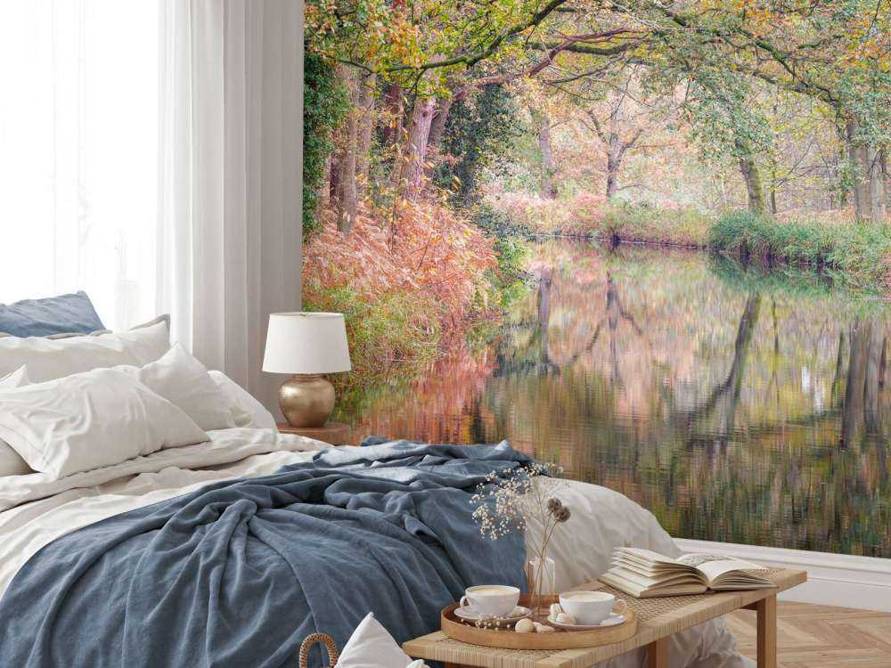 overdekt kleurrijk bos