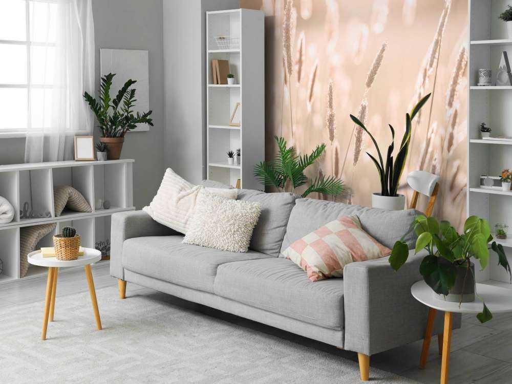 Zonlicht door weiland