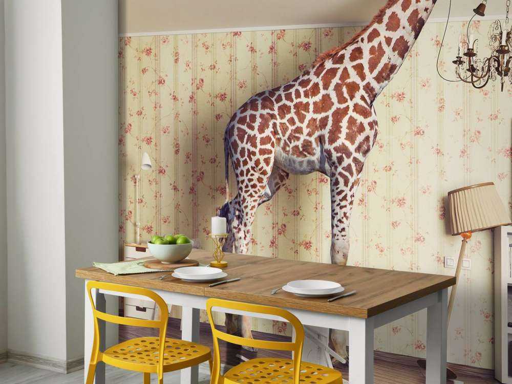 Giraffe in de woonkamer