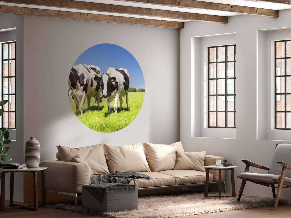 Fotobehang koeien