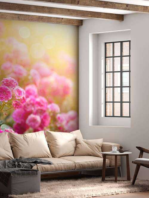 Roze rozenstruiken