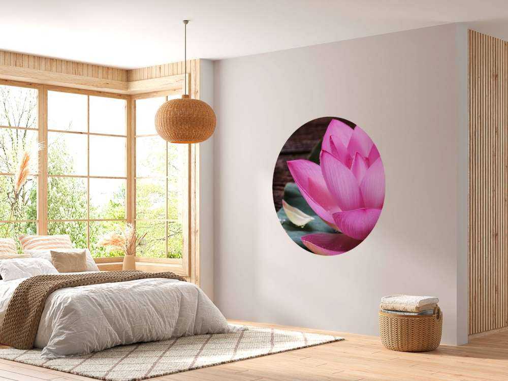 Close-up roze lotus