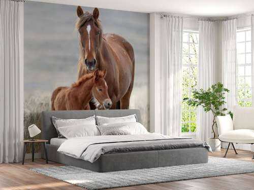 Wilde paarden