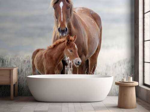 Wilde paarden
