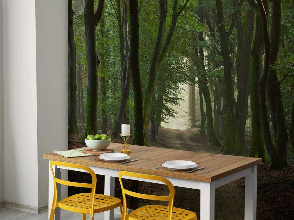 Zandpad in het bos