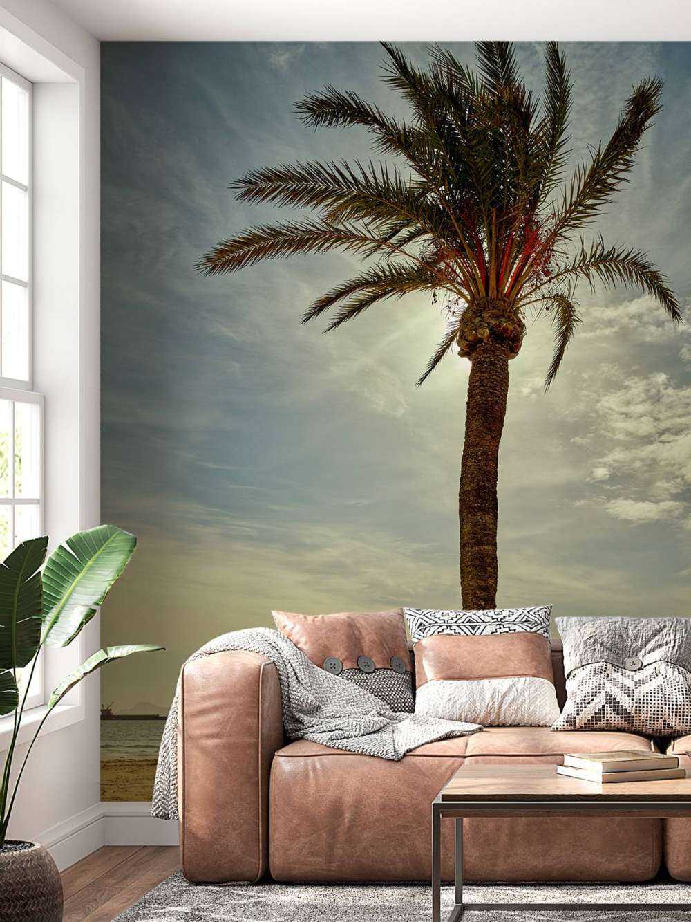 Palmboom in de zon