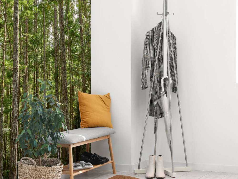 Dunne bomen in het bos