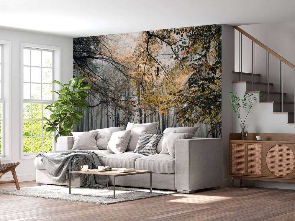 Mistig Herfst Bos met veel Bomen