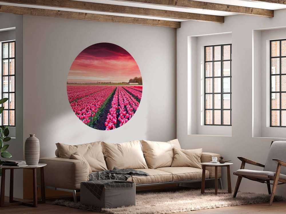 Roze tulpenveld met dynamische kleuren