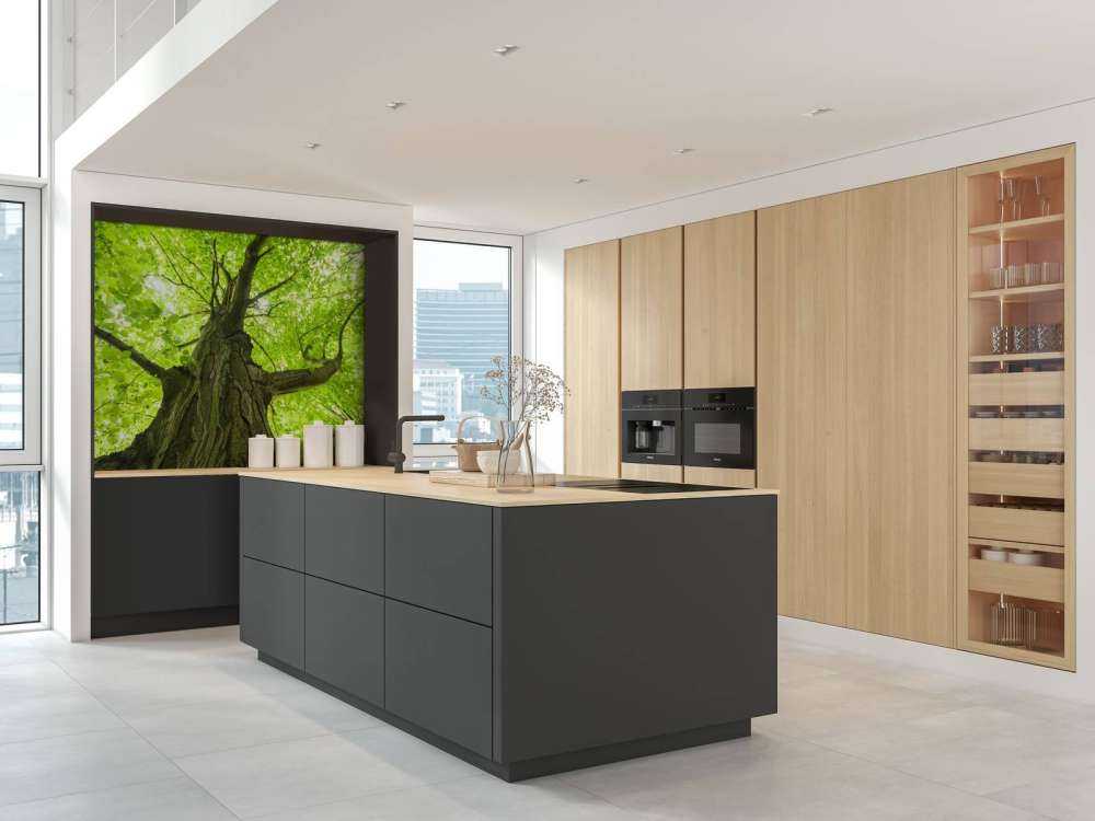 Oude Groene Boom tijdens Zonnige Dag