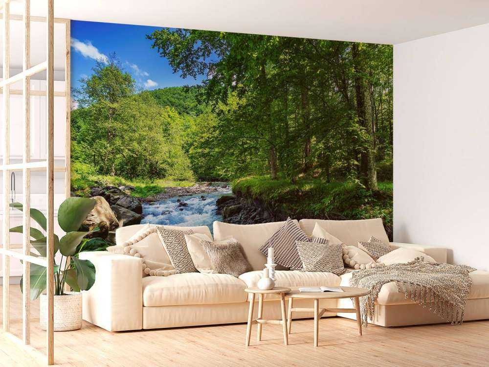 Stromende Rivier in het Bos in Zomer