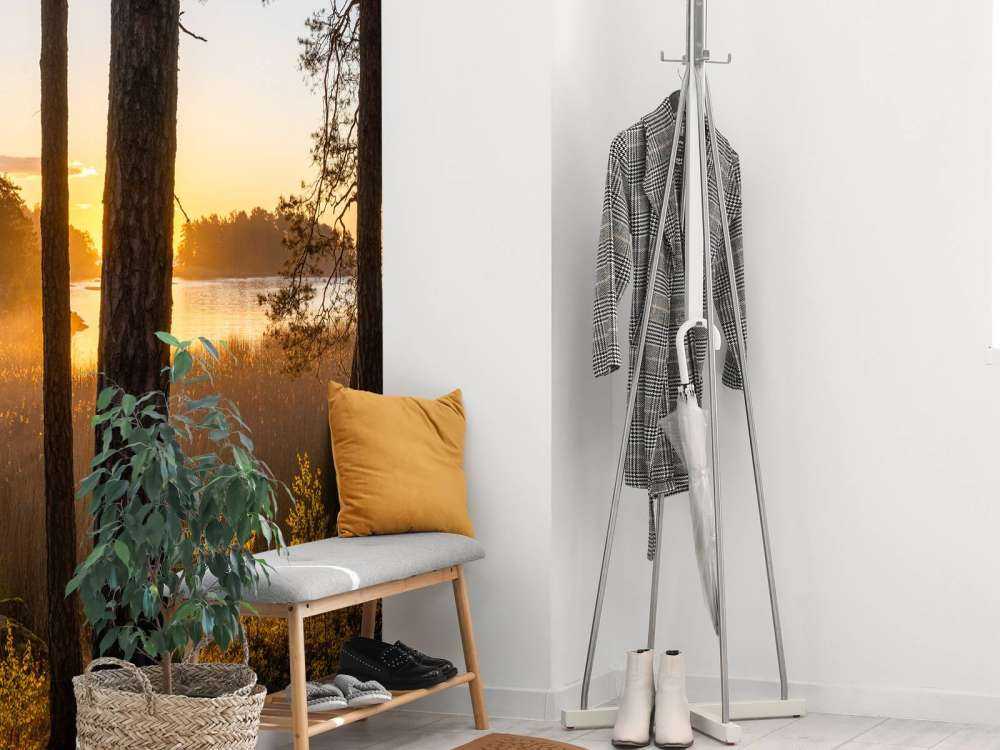 Bos tijdens zonsondergang