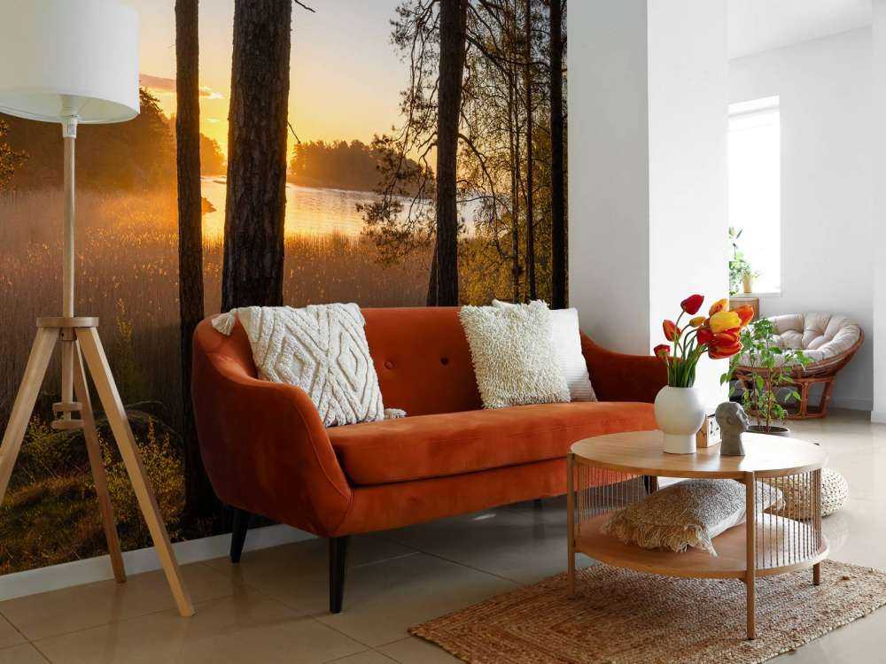 Bos tijdens zonsondergang