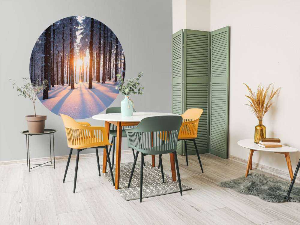 Zonsondergang in een winterbos