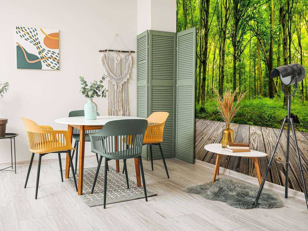 Zomers bos met doorkomend daglicht