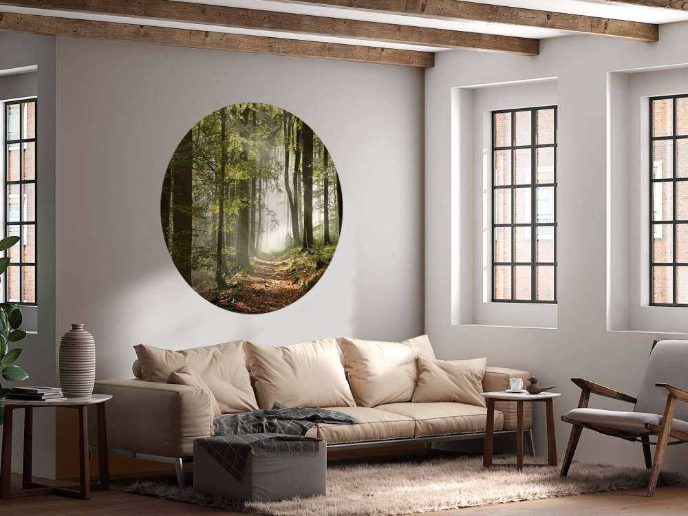 Mistig bos in de herfst