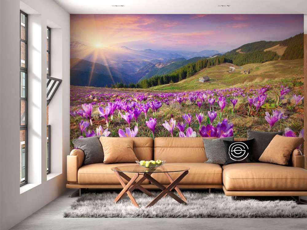 Bloemenveld van krokussen in de bergen