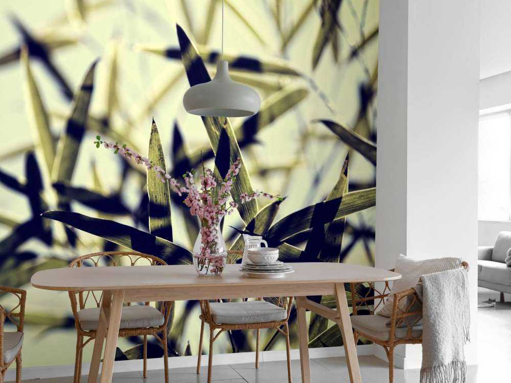 Bamboe bladeren in de zon