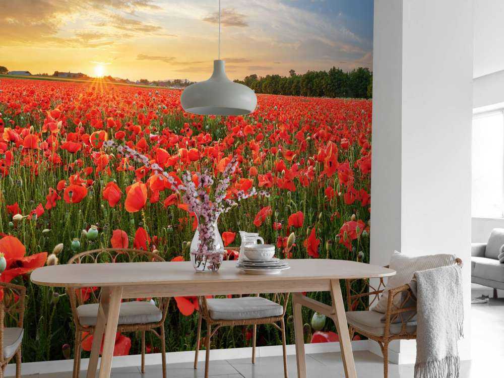 Zonsondergang met klaprozen