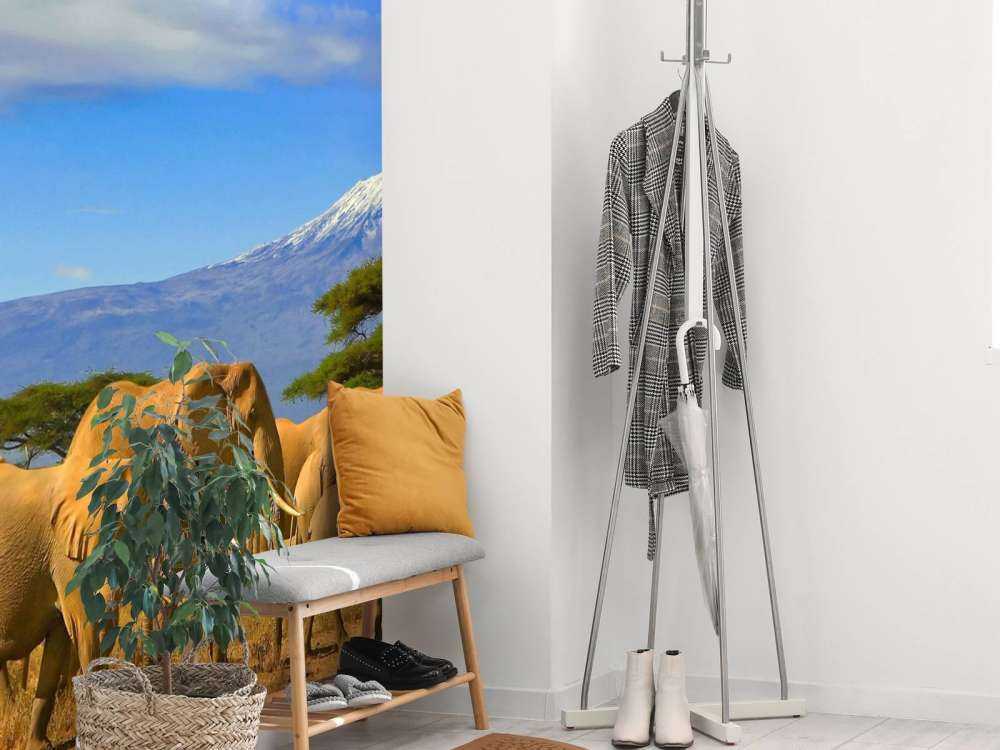 Olifanten met de Kilimanjaro berg op de achtergrond