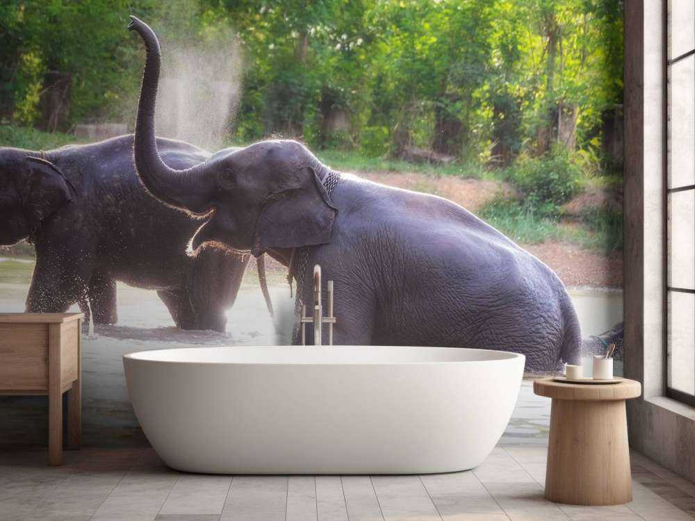 olifanten spelen in het water